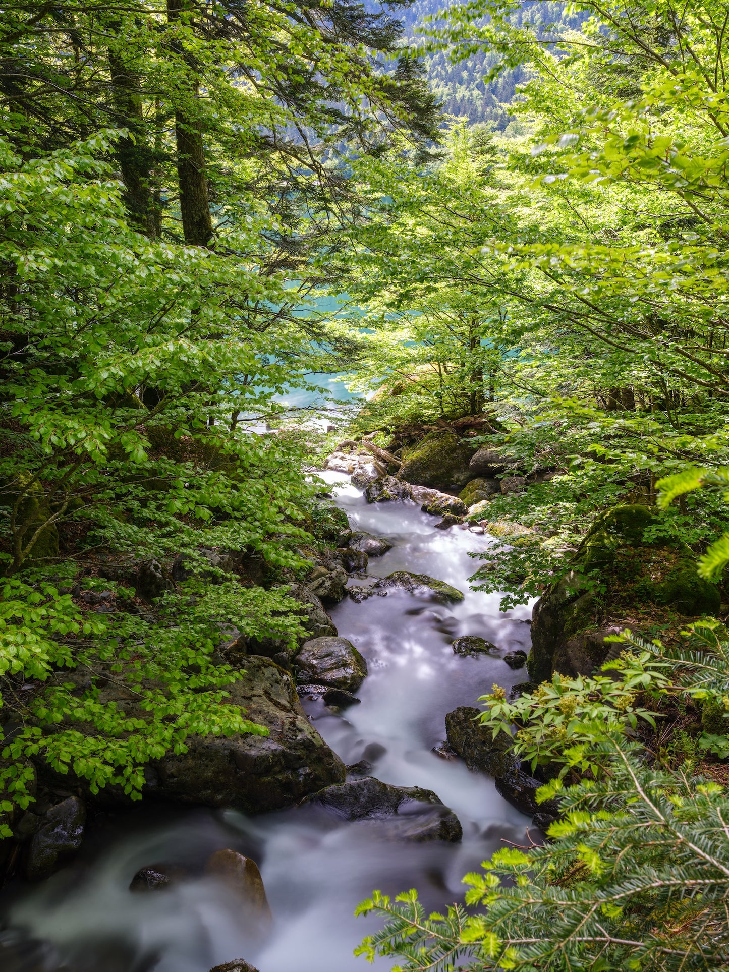 Cascade de torrent de montagne et le lac de Bious-Artigues en arrière plan - Photo à télécharger