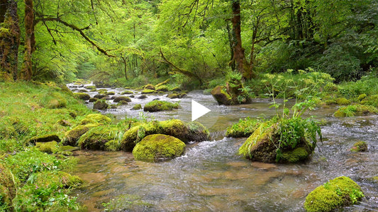 Collection de Vidéos de Pau, du Béarn et des Pyrénées pour Sites Internet et Communication