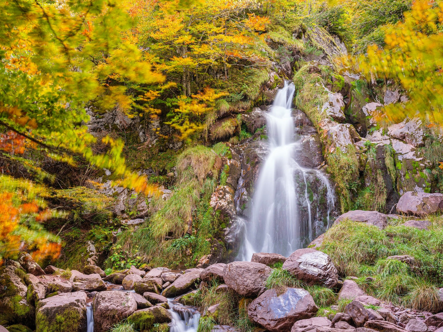 Torrents, cascades