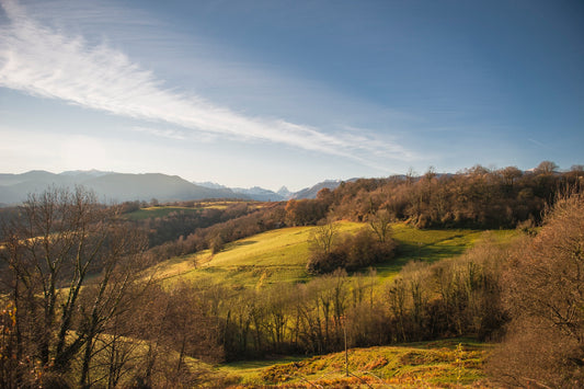 Photo of the Jurançon hillsides, Béarnaise countryside, the Pyrenees mountain range and Ossau in the background