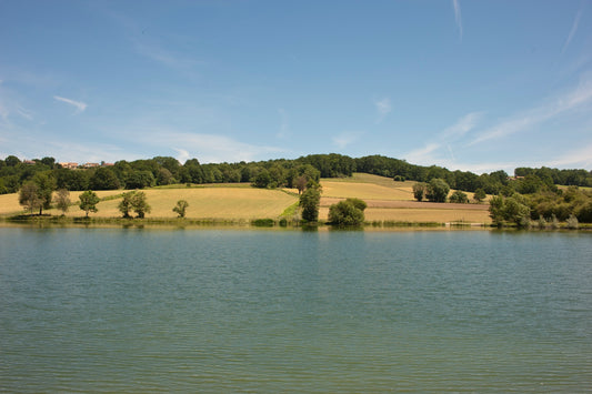 Le lac de Serres-Castet et des champs qui le bordent - Photo à télécharger