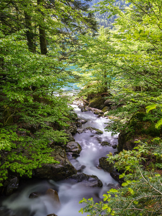 Cascade de torrent de montagne et le lac de Bious-Artigues en arrière plan - Photo à télécharger
