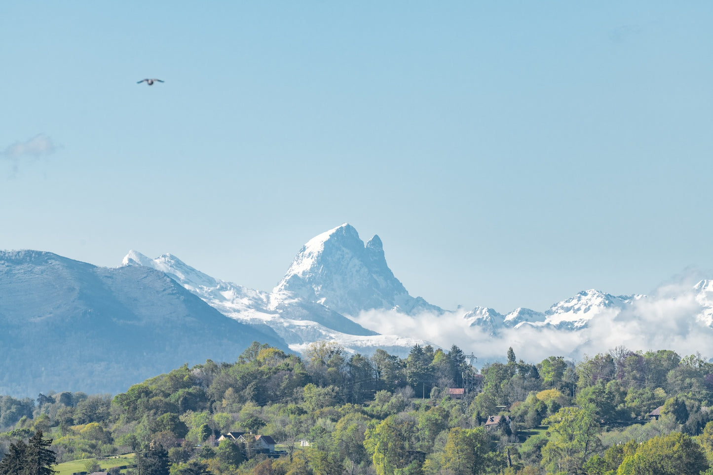 Vue rapprochée de l'Ossau enneigé depuis le boulevard des Pyrénées à Pau - Fichier à télécharger