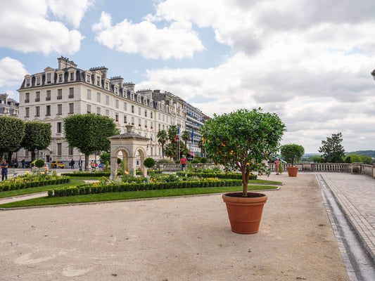 La fontaine de Vigny de Pau un mandarinier et ses parterres de fleurs sur le boulevard des Pyrénées - Photo à  télécharger