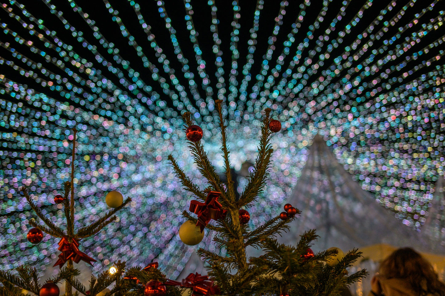 Noël à Pau, flot de lumières des guirlandes de la place Clemenceau, photo à télécharger