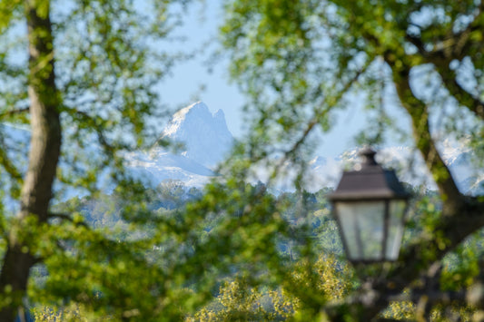 L'Ossau enneigé vue au travers des arbres depuis le boulevard des Pyrénées à Pau - Fichier à télécharger