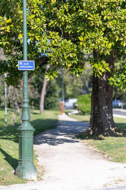 Allée Gerard de Nerval and its magnolias, Beaumont park in Pau - Photo to download