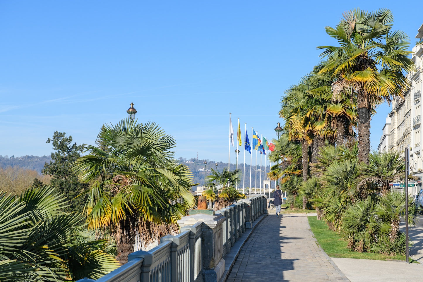 Walkers, Boulevard des Pyrénées with its palm trees, its balustrade