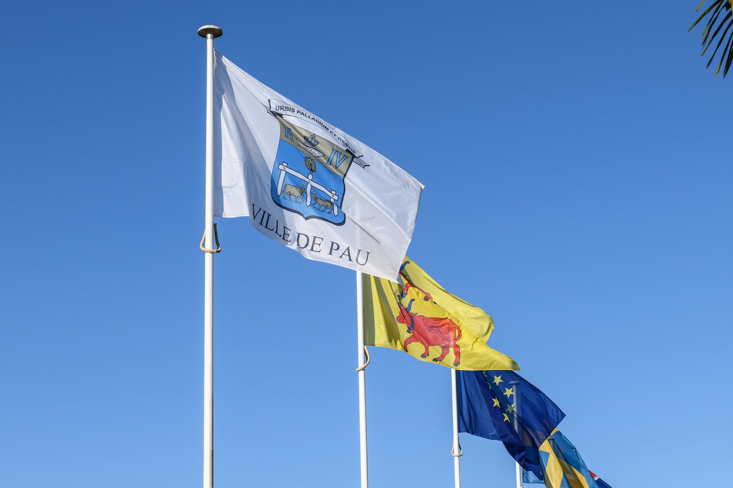 Les drapeaux de la ville de Pau, du Béarn et Européen sur Boulevard des Pyrénées