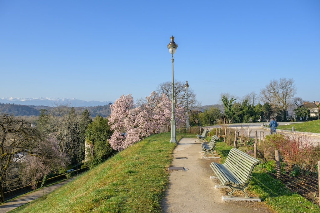 Bancs le long du Palais Beaumont et un magnolia, face aux Pyrénées, parc Beaumont à Pau - Photo au format paysage  à télécharger