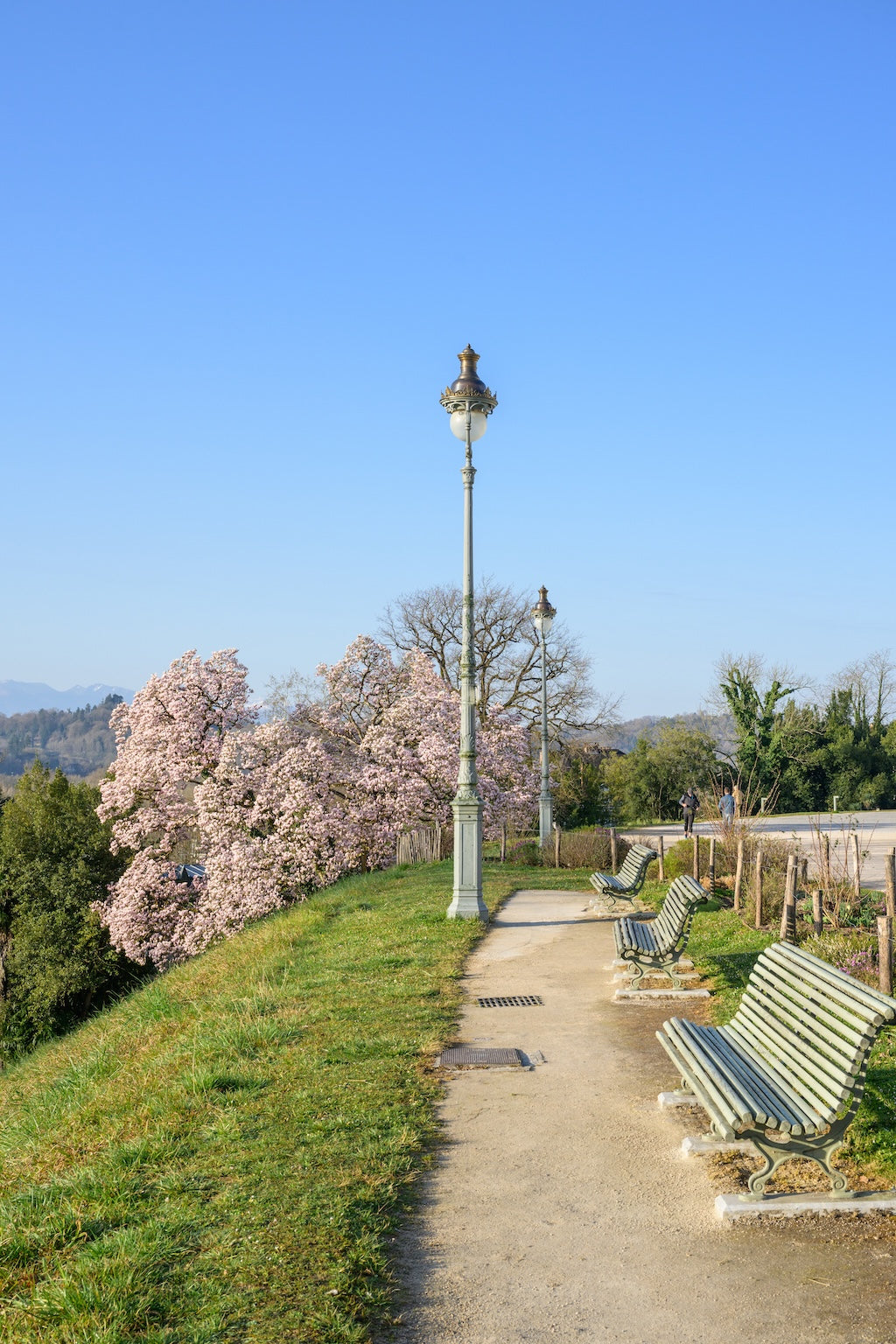 Bancs le long du Palais Beaumont et un magnolia, face aux Pyrénées, parc Beaumont à Pau - Photo à télécharger