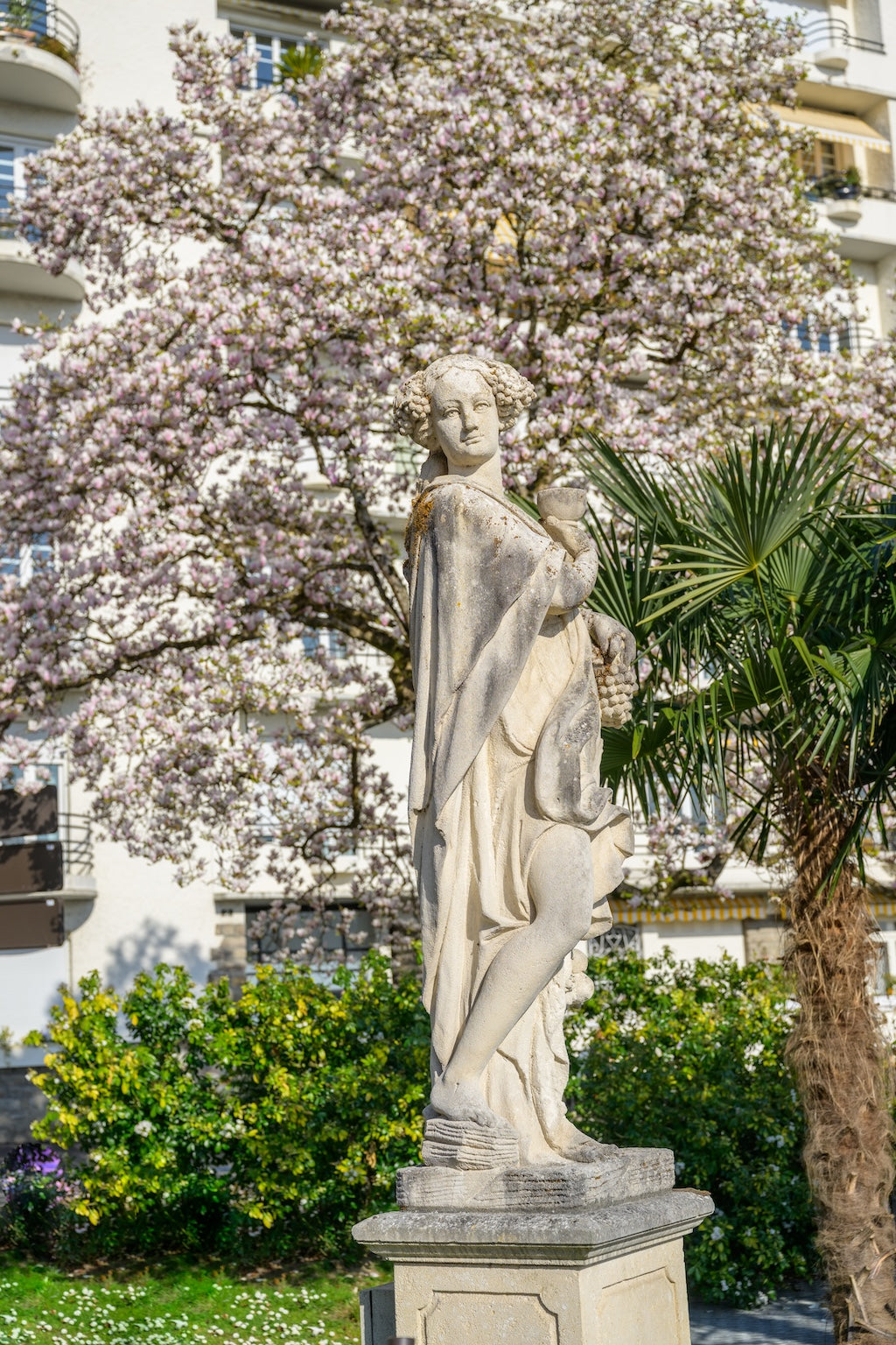 La statue de l'automne devant un magnolia, square Aragon, Pau - Photo à télécharger