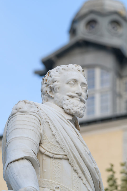 Estatua de Henri 4, Place Royale en Pau desde un ángulo bajo