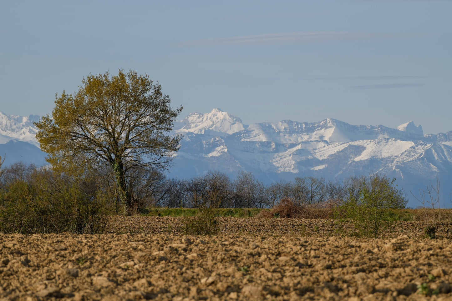 Photo de champs labourés dans la campagne Béarnaise, la chaîne des Pyrénées en arrière plan