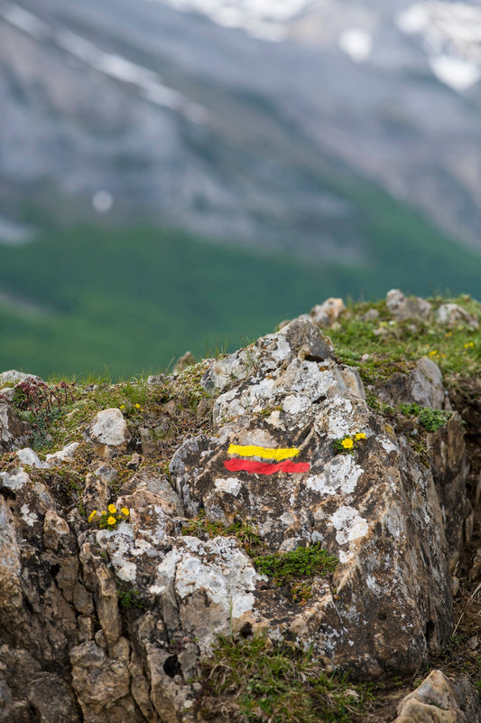 Marking of a GR® de Pays (long-distance hiking trail in the Pyrenees) on a rock, Ossau Valley. - Photo to download