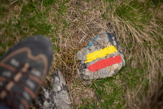 Marquage d'un GR® de Pays (grande randonnée dans les Pyrénées) et chaussure randonnée  sur un rocher à plat, vallée d'Ossau. - Photo à télécharger