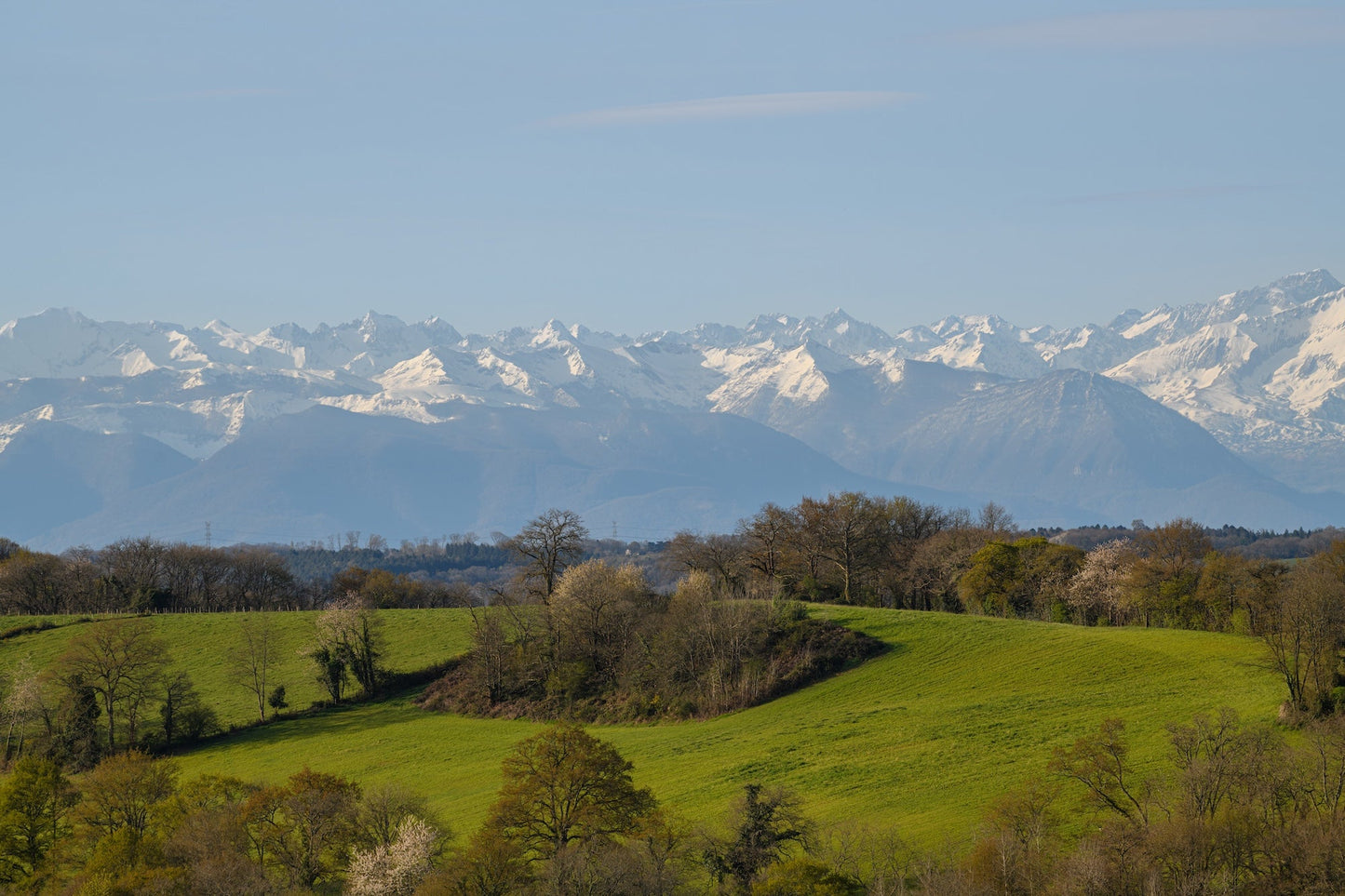 Photo de prairies dans les coteaux de la campagne Béarnaise, la chaîne des Pyrénées en arrière plan