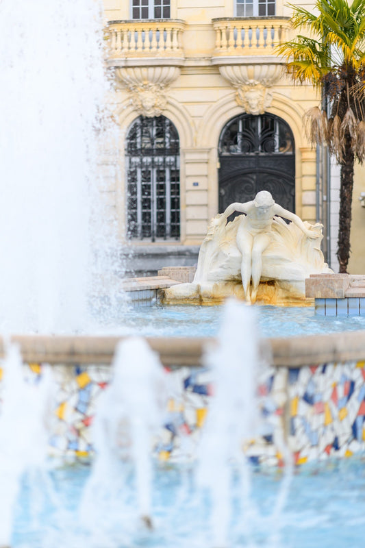 La fontaine et le bassin de la place Clemenceau et  la baigneuse à Pau - Photo à télécharger