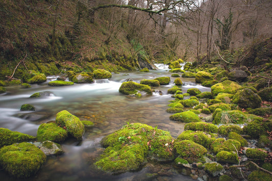 The Lourdios - long exposure on this superb mountain torrent, the rocks are covered in bright green moss