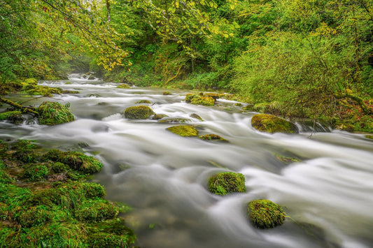 The Lourdios - long exposure on this superb mountain torrent with a dense plant environment