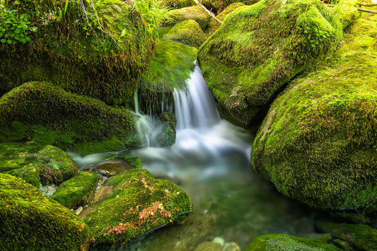 Long exposure on this superb arm of the mountain torrent, the rocks are covered with bright green moss