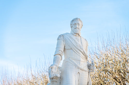 The statue of Henri 4, Place Royale in Pau landscape format - photo to download