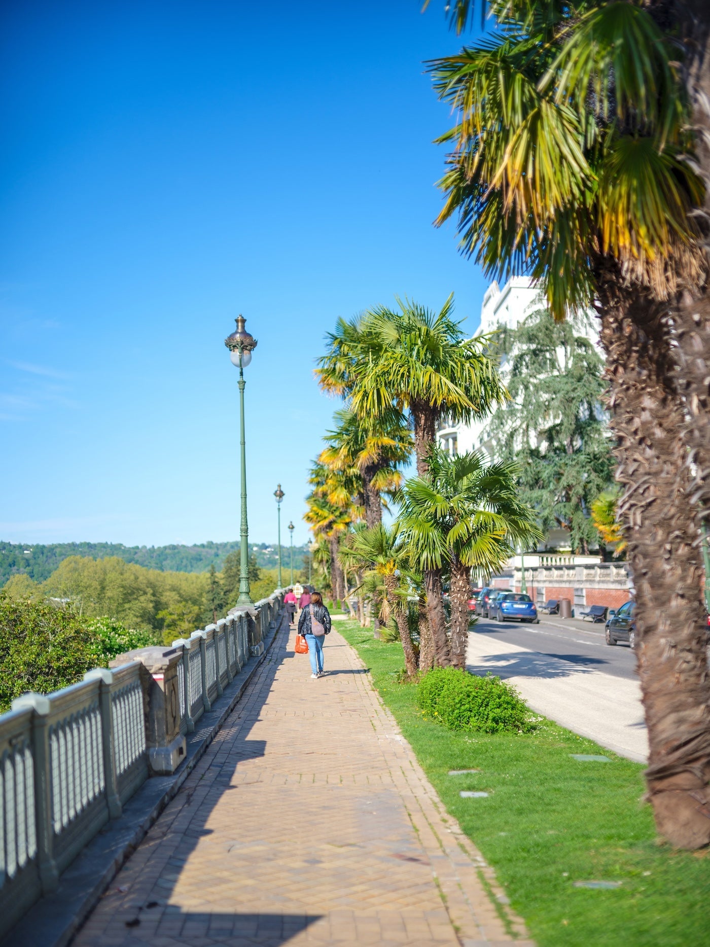 Foto de gente paseando por el Boulevard des Pyrénées y sus palmeras