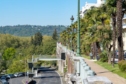 Photo of the Boulevard des Pyrénées and its palm trees