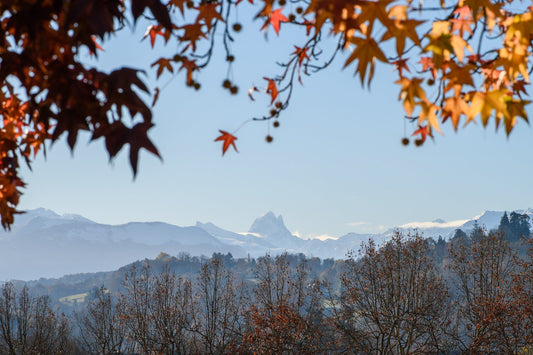 The snow-covered Ossau and hillsides from the Boulevard des Pyrénées in Pau - Photo to download