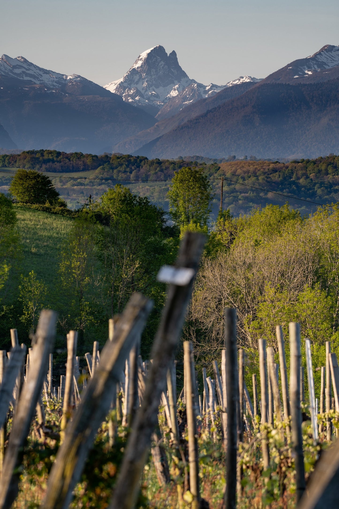 L'Ossau vu depuis les coteaux du Jurançon - Photo à télécharger