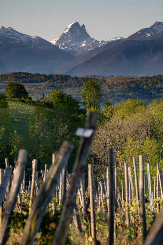 L'Ossau seen from the hills of Jurançon - Photo to download